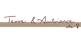 Logo Terre et Ambiance (Brin-sur-Seille) Logo Terre et Ambiance (Brin-sur-Seille)