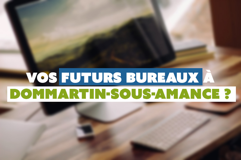 bureaux professionnels Dommartin sous Amance (54)